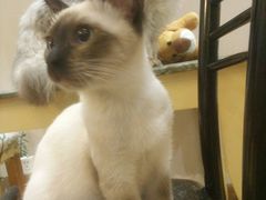 -万小咖.猫咖(中山路天虹店)