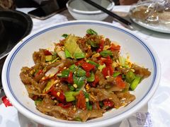鸭掌筋-壹盏灯(蚂蚁工房店)