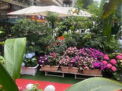 -山水茶艺馆·点心粤菜·30年老字号
