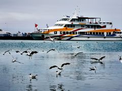 -青海湖国家重点风景名胜区