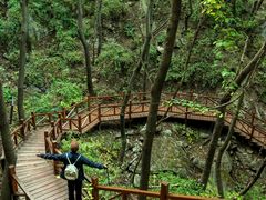 -大岭沟猕猴桃谷风景区