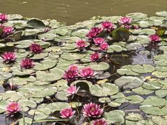 -黄海国家森林公园