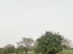 -盘龙城国家考古遗址公园