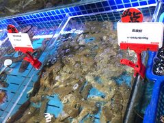 水产区-必点海鲜·鲅鱼水饺(鞍山西道店)