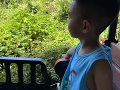 -济州森林小火车生态公园