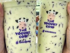 -一只酸奶牛(八一路店)