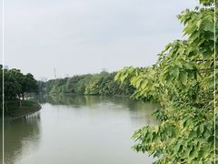 -海珠湖公园