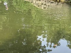 -成都市活水公园