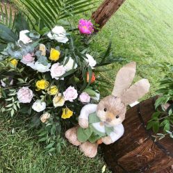 -卡卡喜糖伴手礼·商务礼宝宝礼·婚礼用品