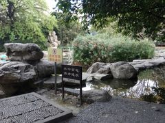 -神仙树公园