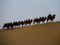 -沙漠世界地质公园