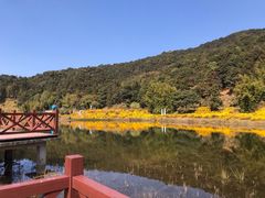 -广州市石门国家森林公园