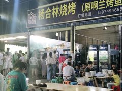 -杨合林啊兰烤鱼