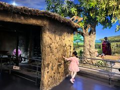 -国家自然博物馆