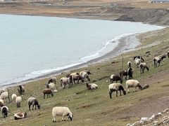 -青海湖国家重点风景名胜区