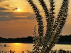 -南沙十九涌渔人码头-南门