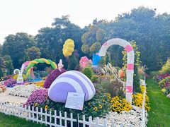 -上海共青森林公园