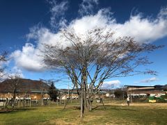 -轻井泽王子购物广场