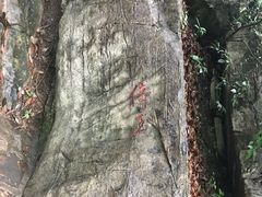-玉女潭景区