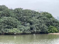 -海珠湖公园