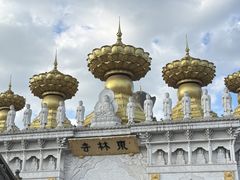 -上海东林寺(金山区)