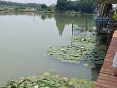 -水岸居湖景农家乐·阳澄湖大闸蟹