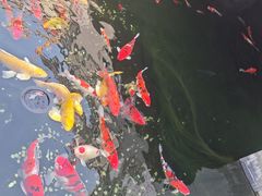 -长春观