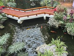 -广州白天鹅宾馆