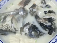 -全乐鱼馆·淳牌有机鱼直营店