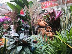 -秦美花卉(天朗·莱茵小城2期店)