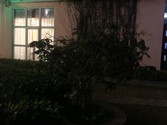 -新梅园不夜粥(龙华店)