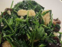 -東大方(湖州白鹭迎店)