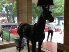 iphone_upload_pic-丽舍酒店