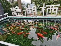 -华凌山庄·隐湖栖