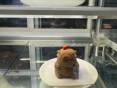 -深圳罗湖木棉花凯悦尚选酒店•大堂吧