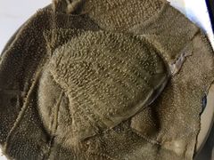 -周幺妹重庆老火锅(银泰城总店)