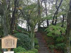 -名古屋城