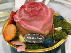 -哈根达斯(芳圆里店)