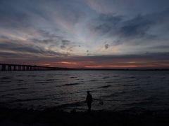 -宝安西湾红树林湿地公园