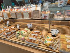 -向阳松鼠(恒大店)