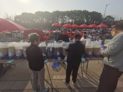 -雪绒花路停车场