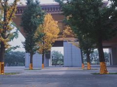 -法门文化景区