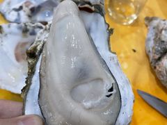 -蚝专家(北滘店)