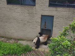 -黔灵山公园