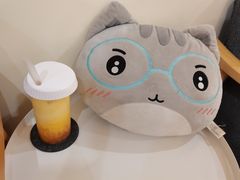 -滚猫咖啡·猫咖·猫友好撸猫(未来城店)