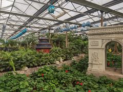 -南宫五洲植物乐园