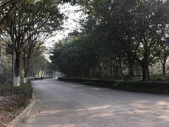 -西南交通大学(峨眉校区)