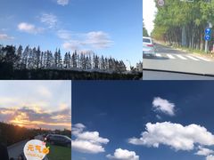 -前小桔亲子创意农场·草莓采摘·露营烧烤