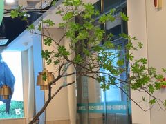 -五星桥原切肥牛火锅(怀德桥店)