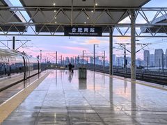 -合肥滨湖国家森林公园